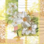 Narcissus Patchwork